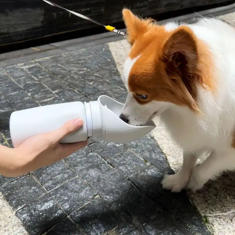 550ml Folding Pet Outdoor Travel Water Bottle